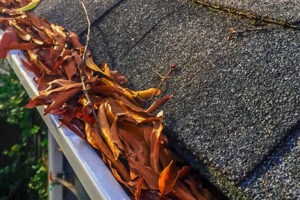 residential-gutter-cleaning
