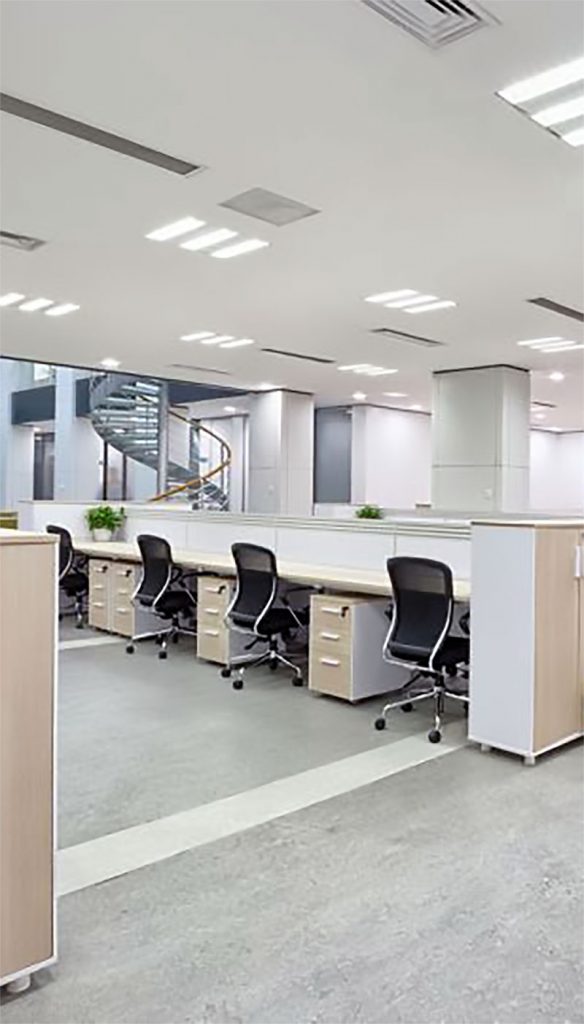 Professional Cleaning Services